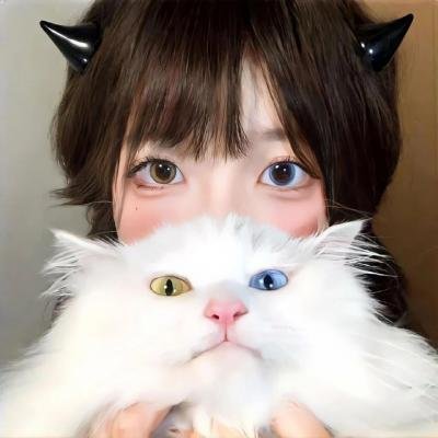 噪反